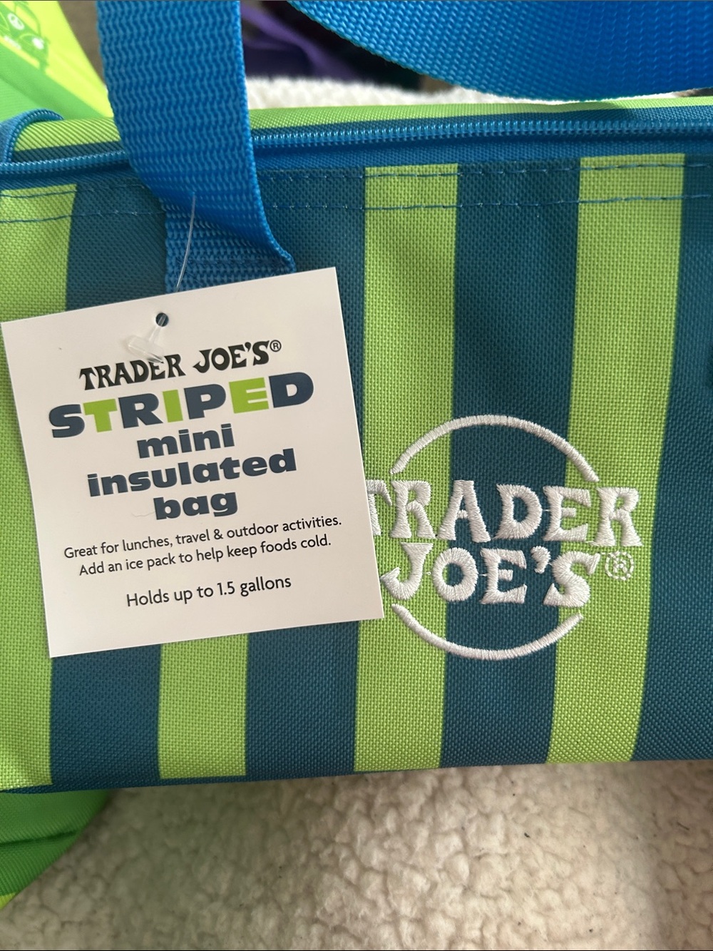 Striped Mini Insulated Bag - Green/Blue